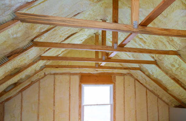 Best Types of Insulation in Coral Springs, FL