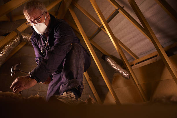 Best Specialty Insulation in Coral Springs, FL